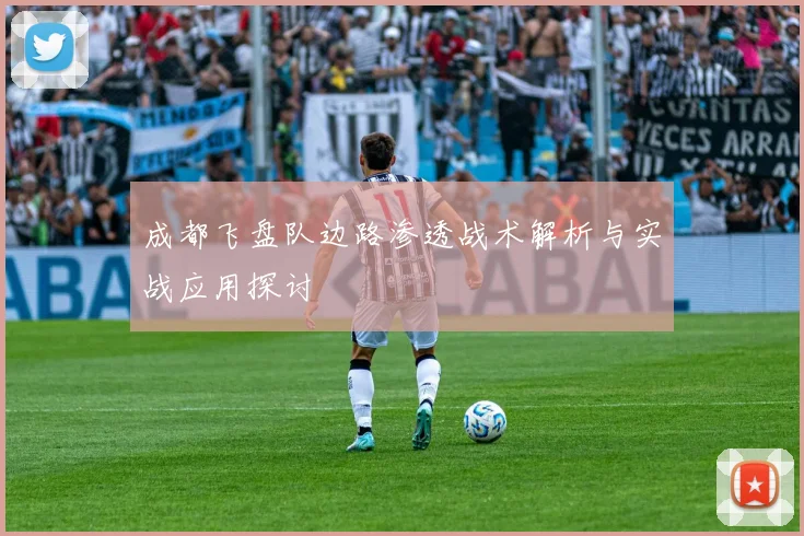 成都飞盘队边路渗透战术解析与实战应用探讨